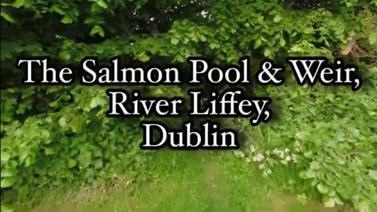 The Salmon Pool & Weir, River Liffey, Dublin