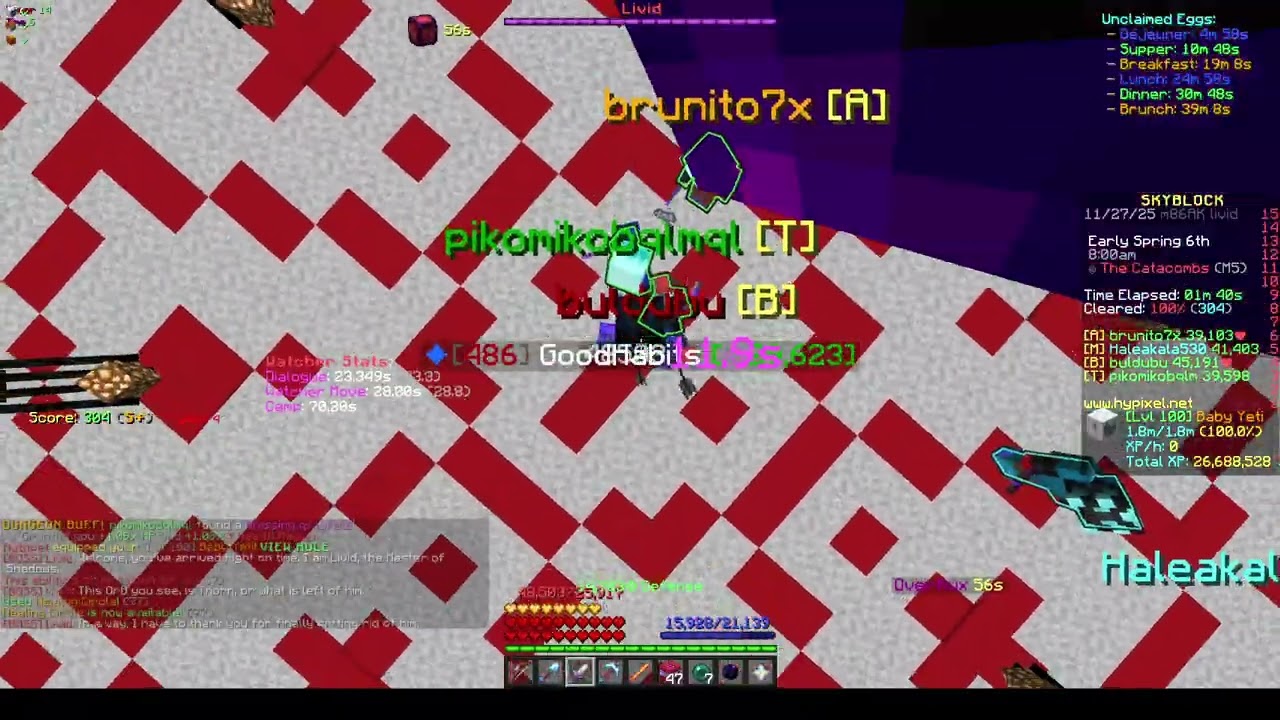 M5 Healer runs | Hypixel Skyblock