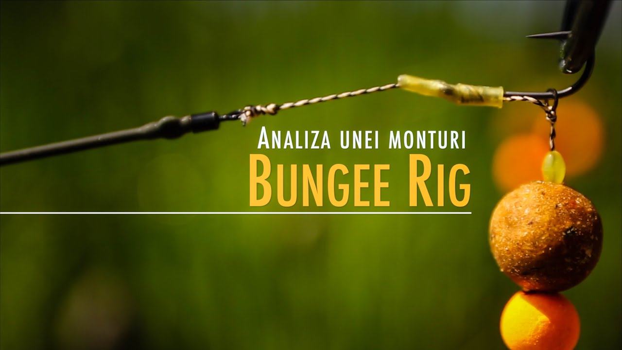 Analiza unei monturi: Bungee Rig