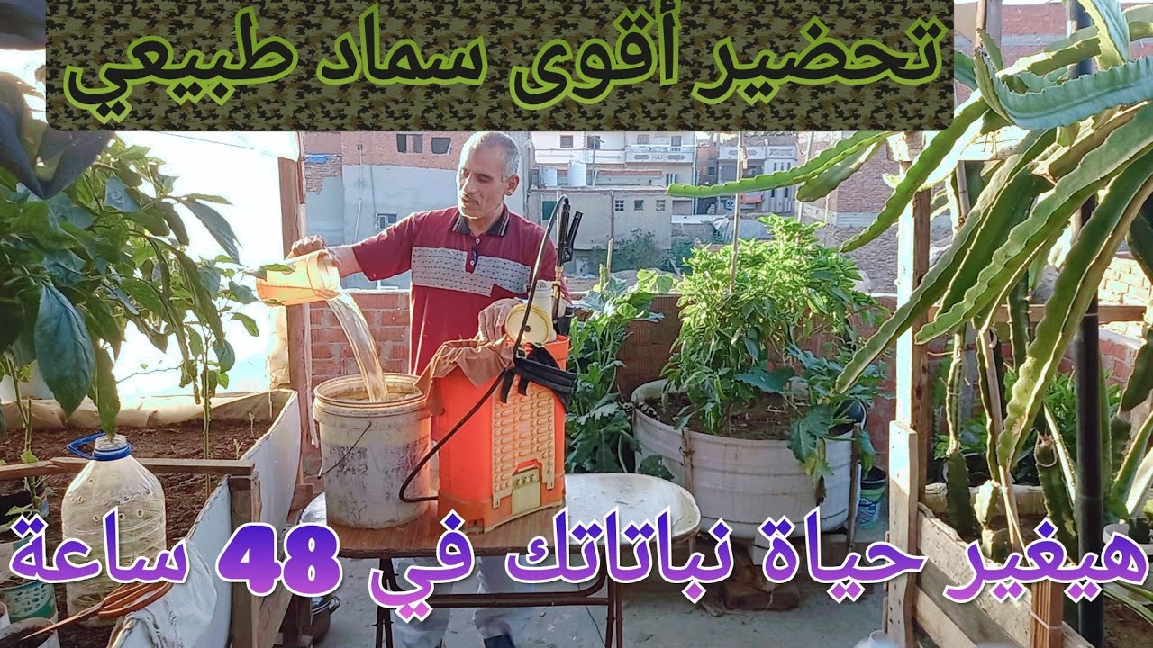 محلو سماد عضوي ابتكار معجزة  هيغير نباتاتك في( 48 )ساعة سماد محلول عضوي طبيعي