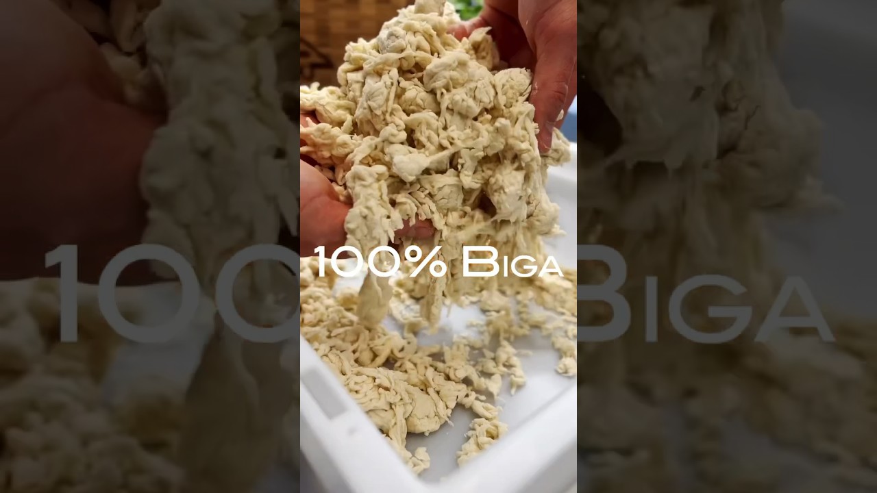 Mein pers&ouml;nlicher Favorit.🔥 100% Biga.🍕 Das Rezept findest du in den Kommentaren.👇🏼 #pizza #fy