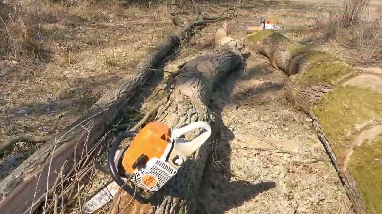 STIHL ms 391 semi pro  64,1 cc 4,5 hp to the forest