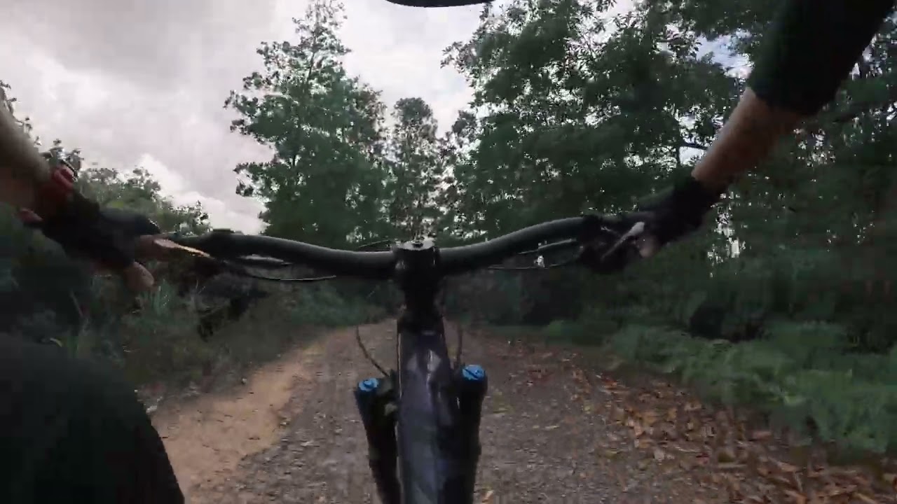 24 Jan 2026 Sireh Park Raptor Nest