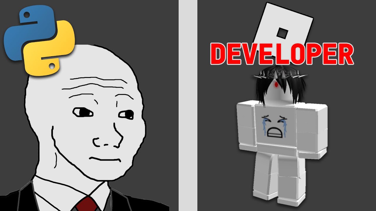 Roblox Developer vs Software Engineer