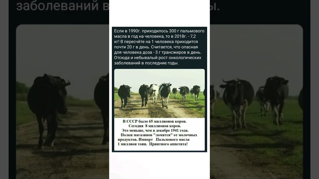 #история #наука #мудрость #природа #всемназаметку