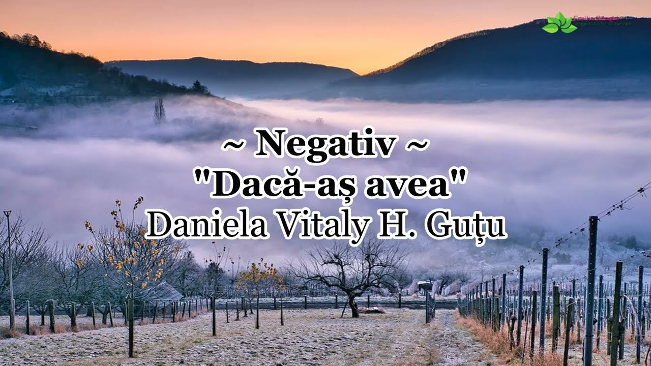 Negativ - Dacă-aș avea - Daniela & Vitaly H. Guțu [NOU 2023]