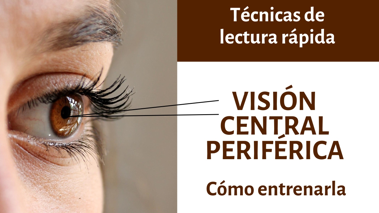 Aumentar la velocidad de lectura - Técnicas de lectura veloz y rápida