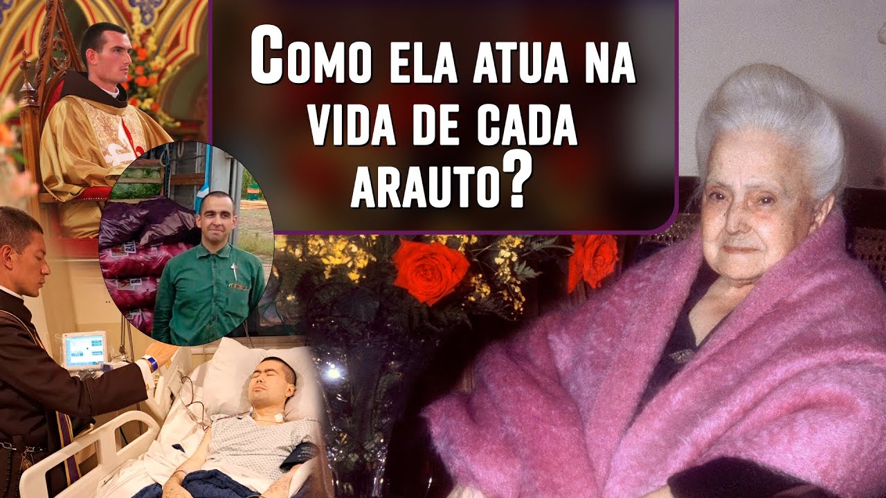 A Sra. Da. Lucilia no dia-a-dia de um arauto