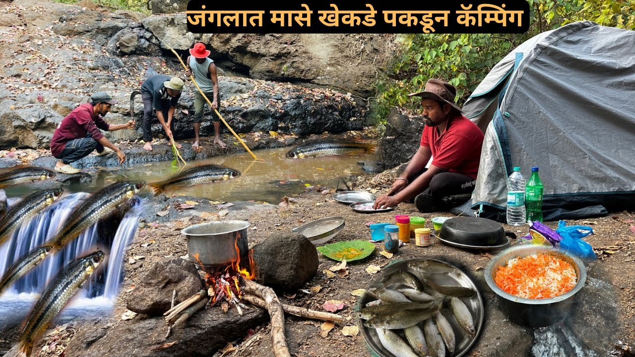 मासे🐟, खेकडे 🦀आणि चिकन बिर्याणी जंगलातली ग्रुप कॅम्पिंग |Grup Camping ⛺️