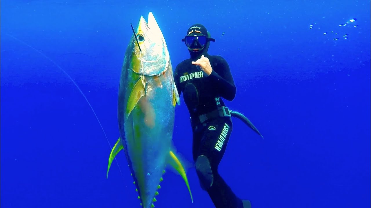Hawaii Spearfishing - it's what we do