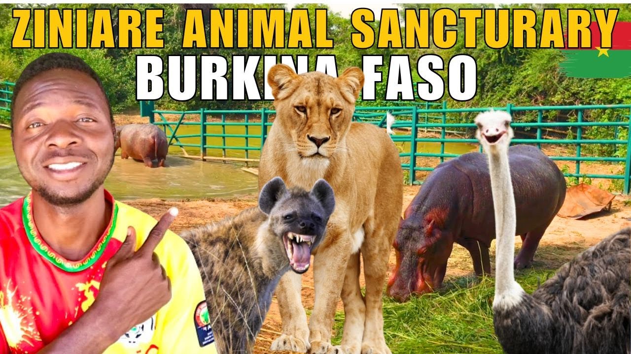Safari Adventure In Burkina Faso 🇧🇫