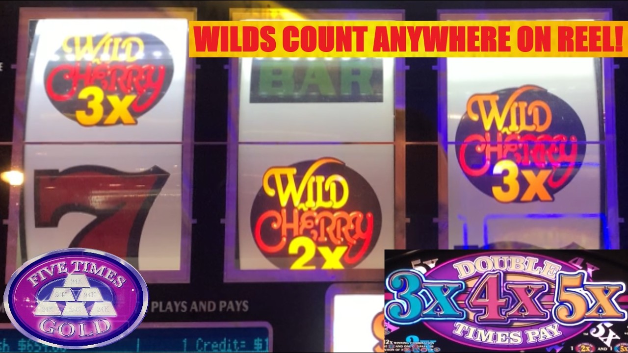 Massive win on Triple Double Wild cherry slots! 3 Reel Jackpot Carnival + 5 Times Gold slot play! 