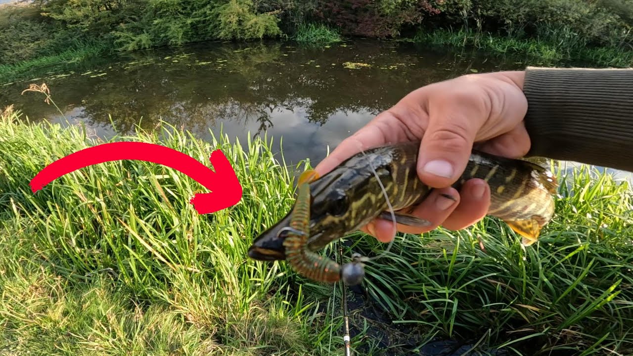 THIS Lure Drives Pike And Perch WILD! | Ultralight Lure Fishing