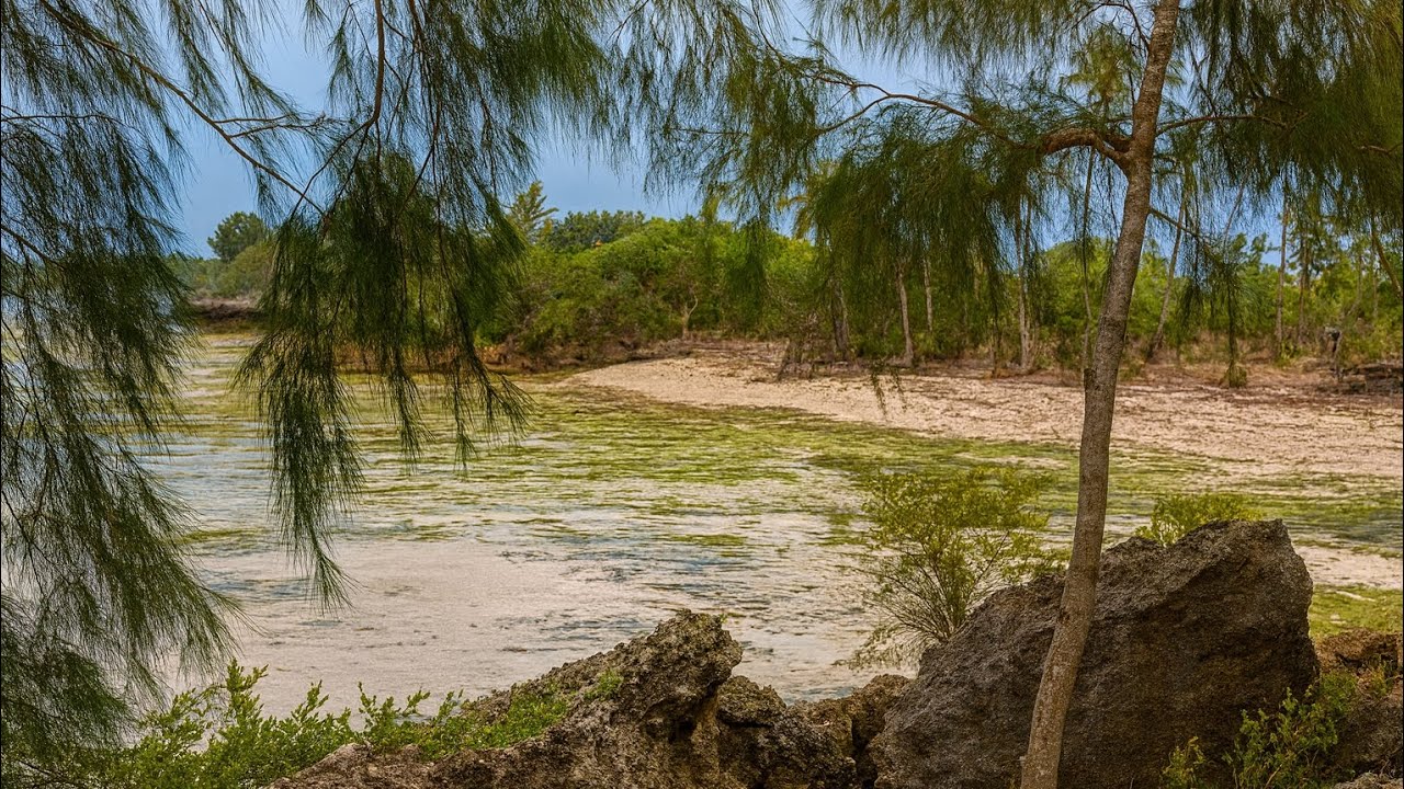 Beach plot is for sale at makunduchi mtende kichangani details on the description. ....