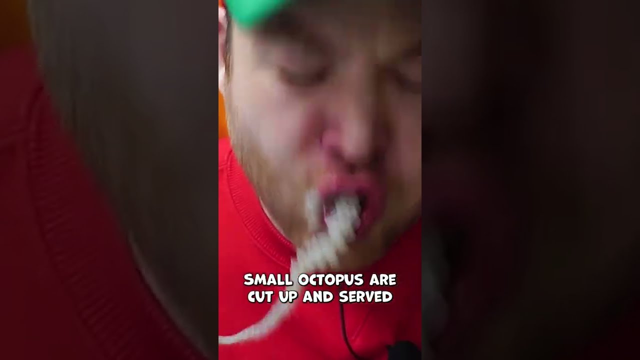 San Nakji: Eating LIVE Octopus in South Korea 