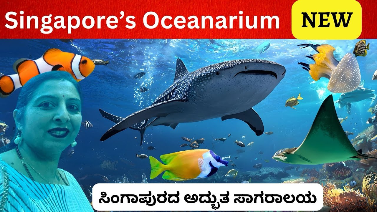Singapore’s NEW Oceanarium 🇸🇬 | Resorts World Sentosa Sea Aquarium 