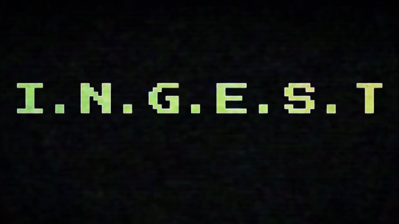 I.N.G.E.S.T. INTERVIEW 01#
