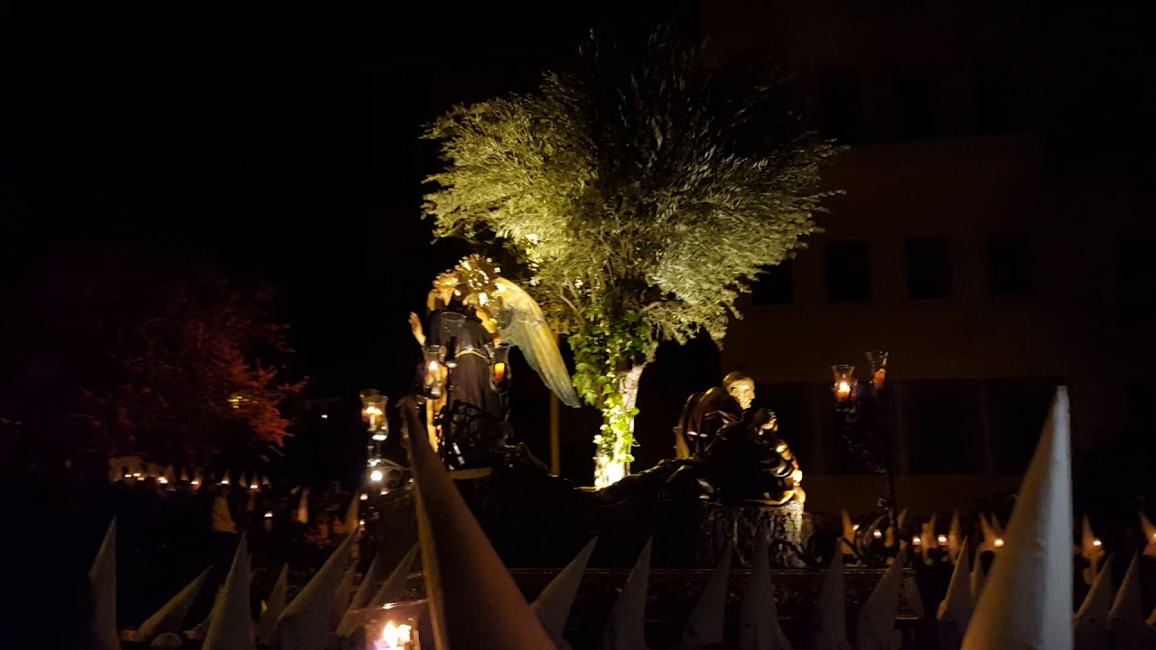 Huerto de San Esteban 2019. Curva de la audiencia