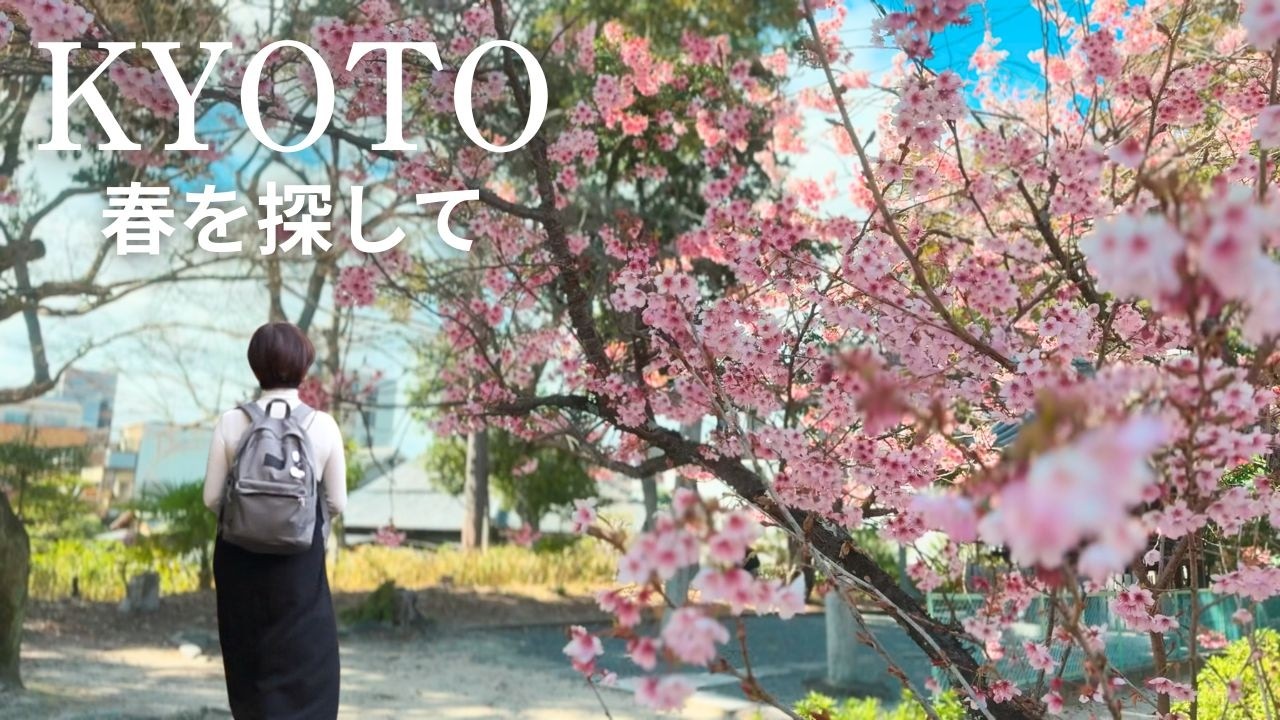 京都で春を探して｜桜とカフェで満たされる、大人の1日