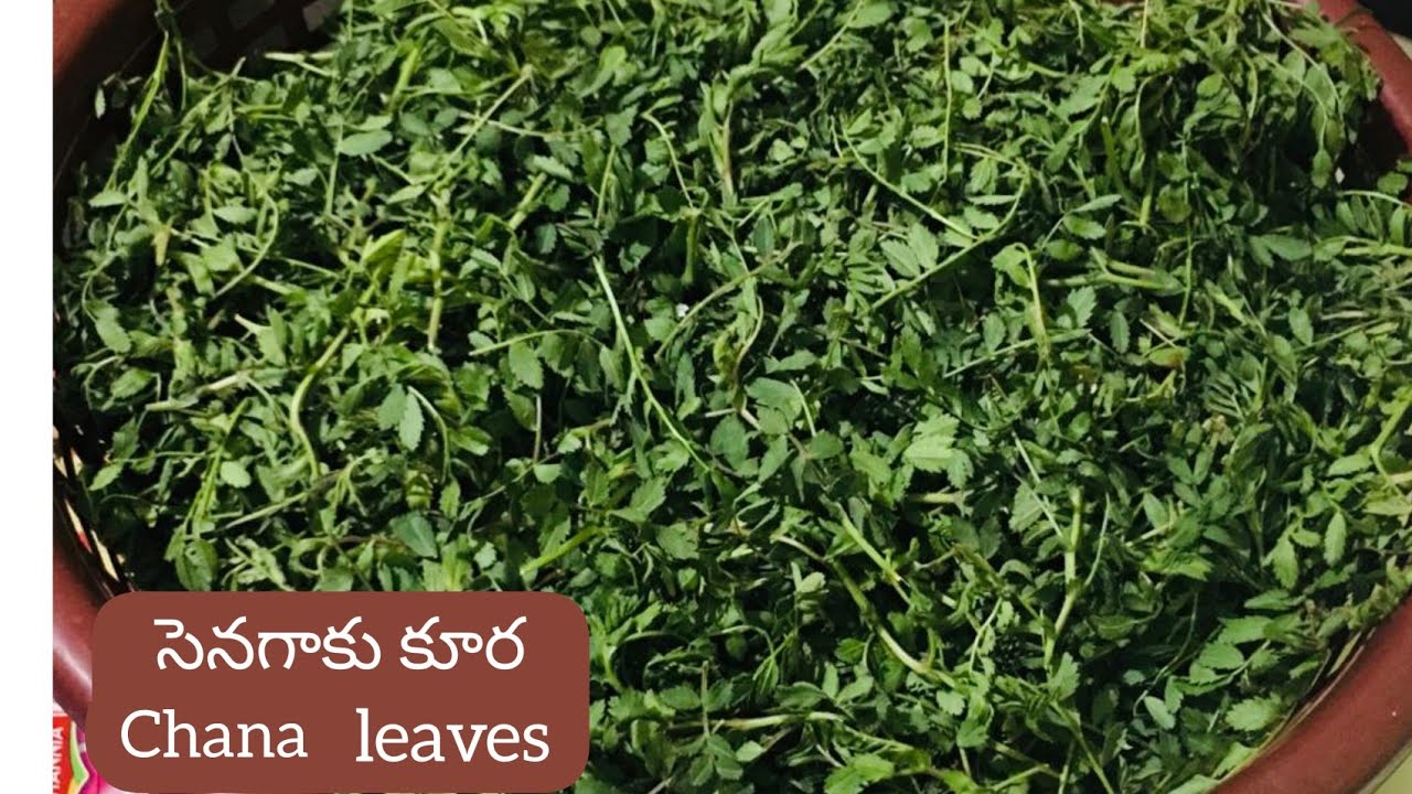 How to make Senagala leaf curry | సెనగ ఆకుల కూర | chickpea leaves | సెనగ వంకాయ కూర  😋👌