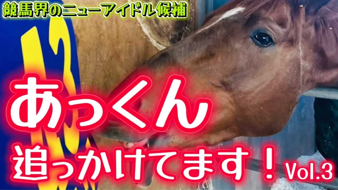 【あっくん追っかけてます！Vol.3】いよいよGⅠのホープフルS出走！あっくんことアーレムアレスを追いかけてます！3回目の今回は橋口慎介調教師のインタビュー付きです！