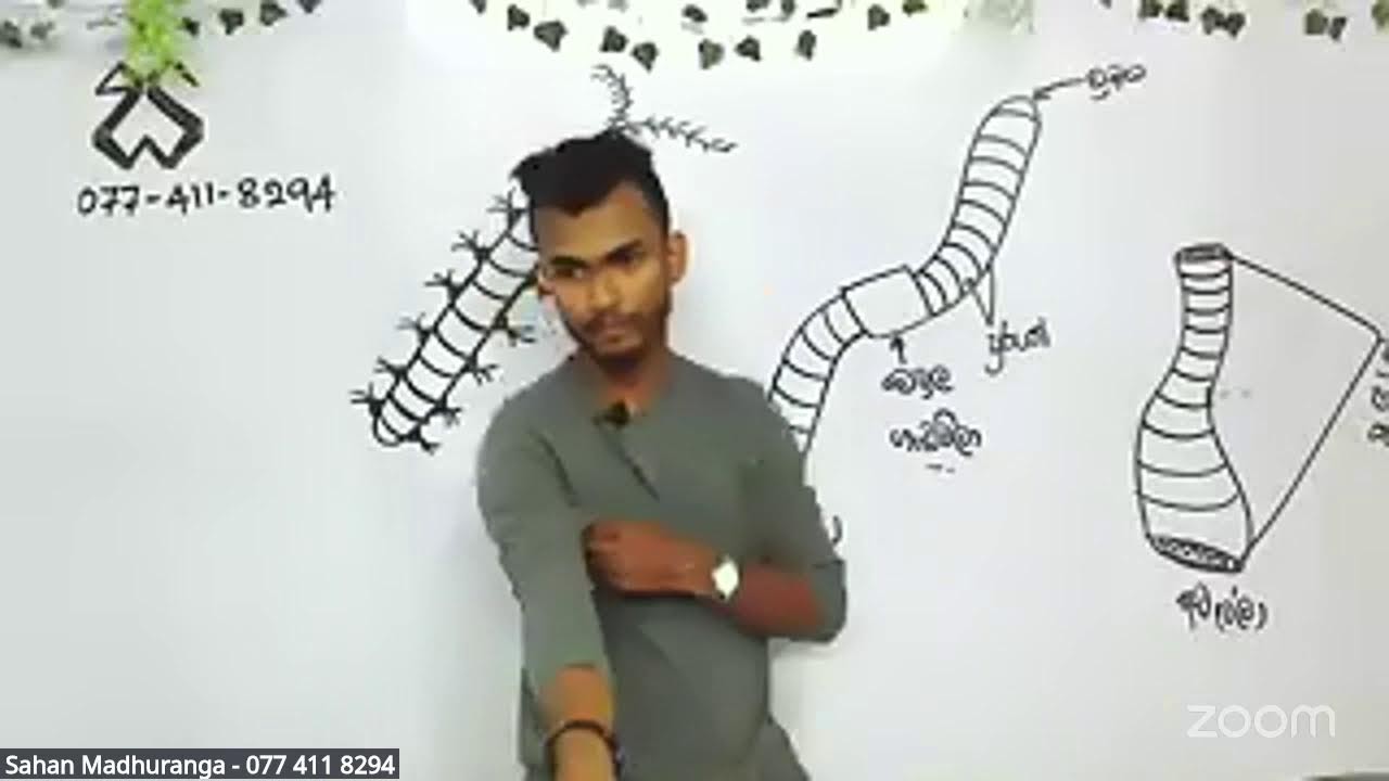 Grade 08 | සත්ත්ව වර්ගීකරණය පාඩම ආරම්භය | Day 01 | Animal classification | Sahan Sir