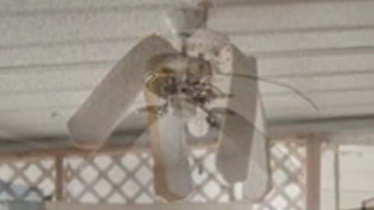 Abused and abandoned ceiling fans