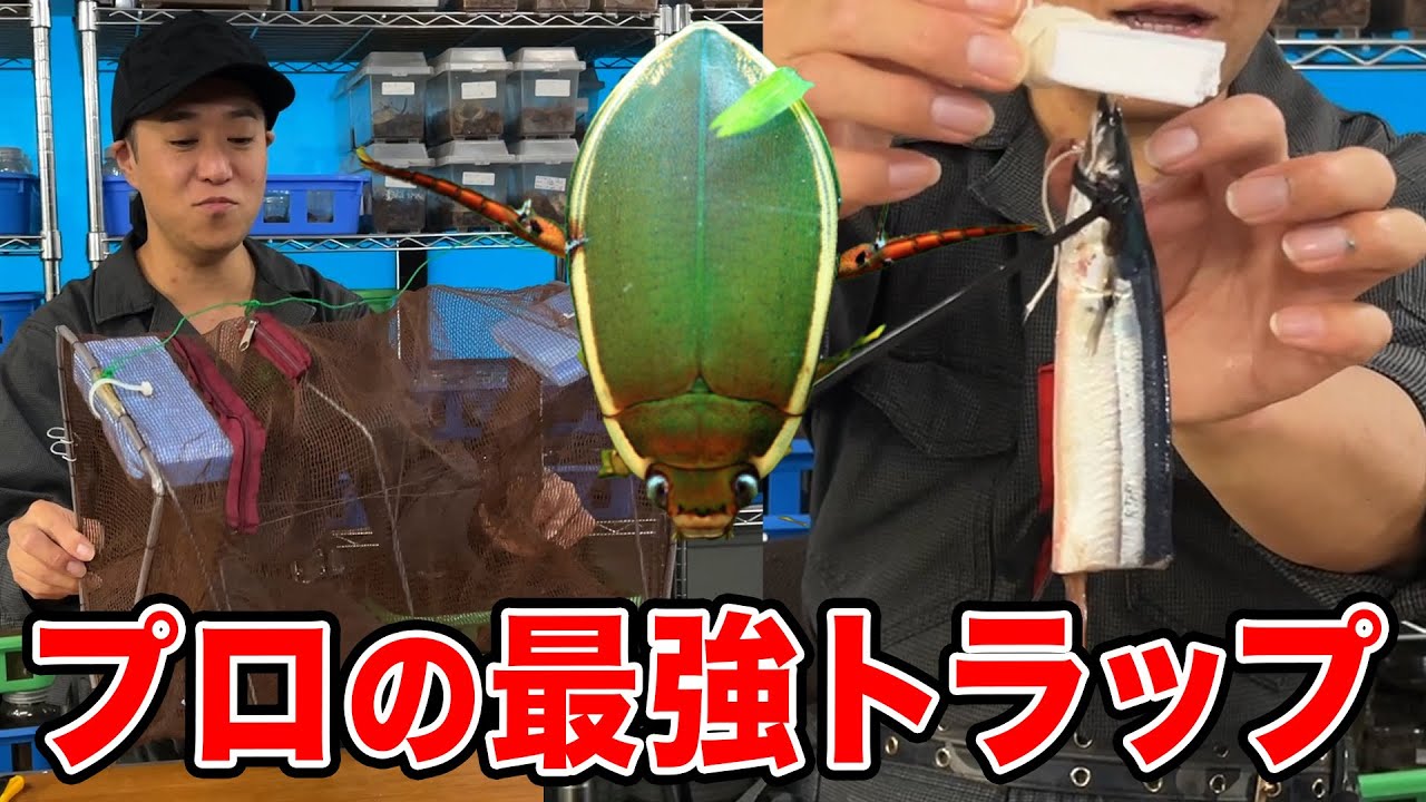 ゲンゴロウ捕獲トラップの作り方