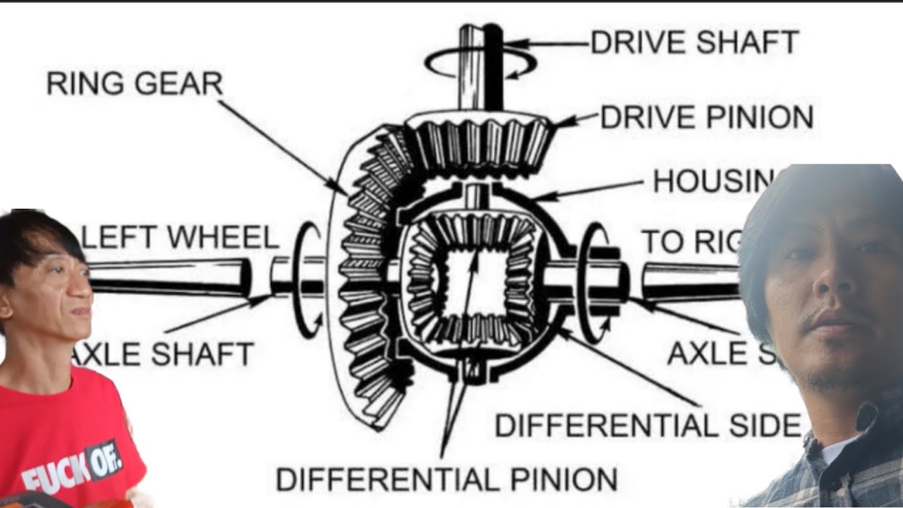 DIFFERENTIAL REPLACEMENT ISUZU FORWARD (FEB 14 2026) 