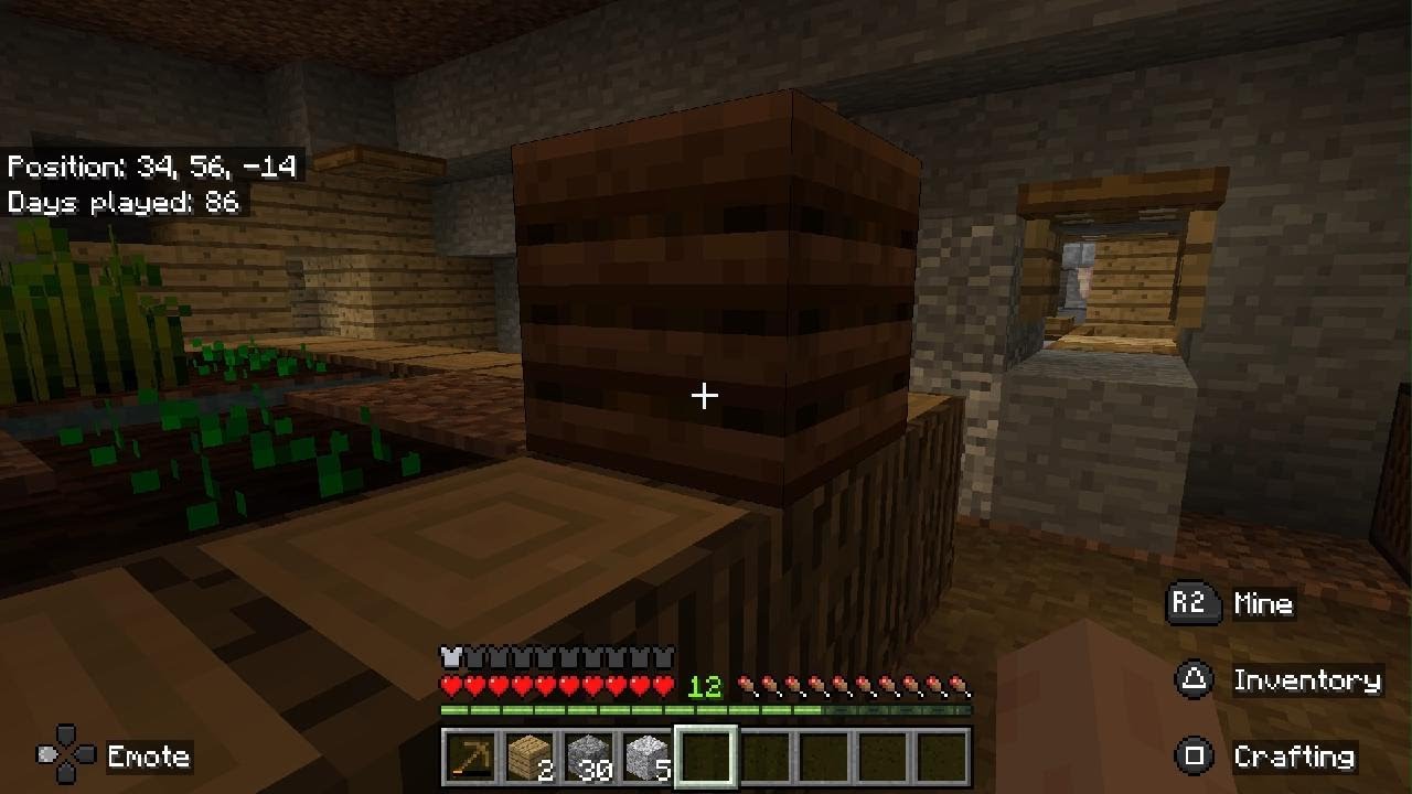 Minecraft_20260129101958