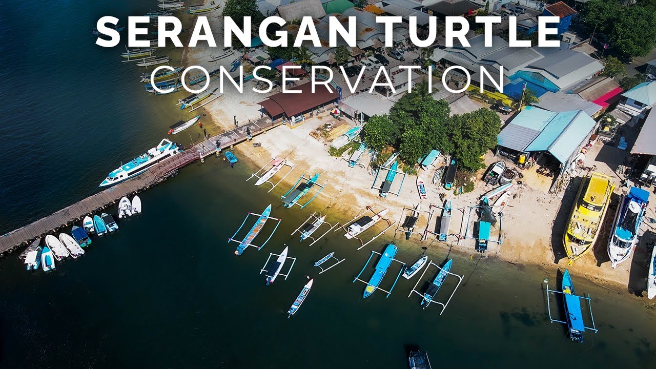 Serangan Island Bali : Turtle Sanctuary and Seafood Delicacies