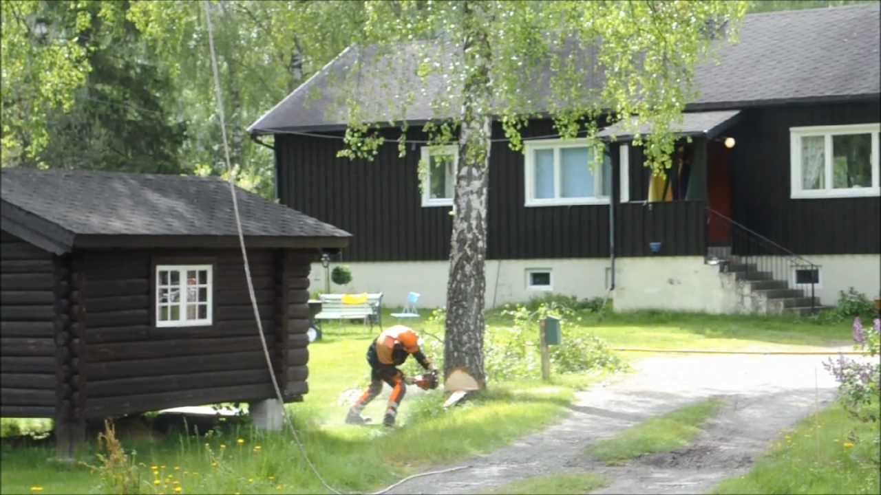 Trefelling