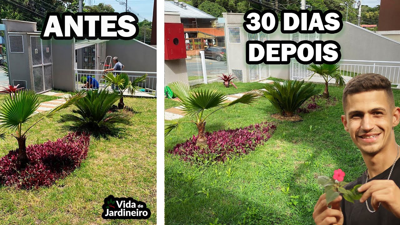 Como recuperar o gramado - Aerador de solo pinos ocos manual | Vida de Jardineiro