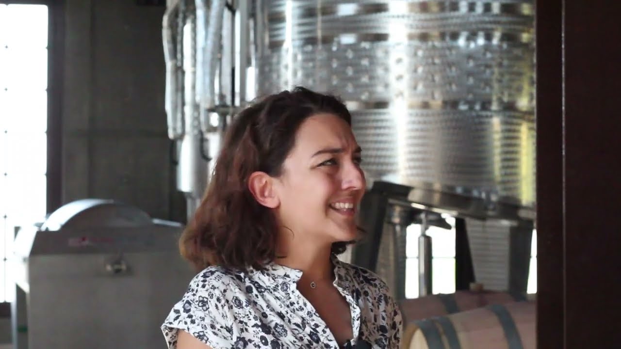 Turkey: An Ancient Wine Heritage