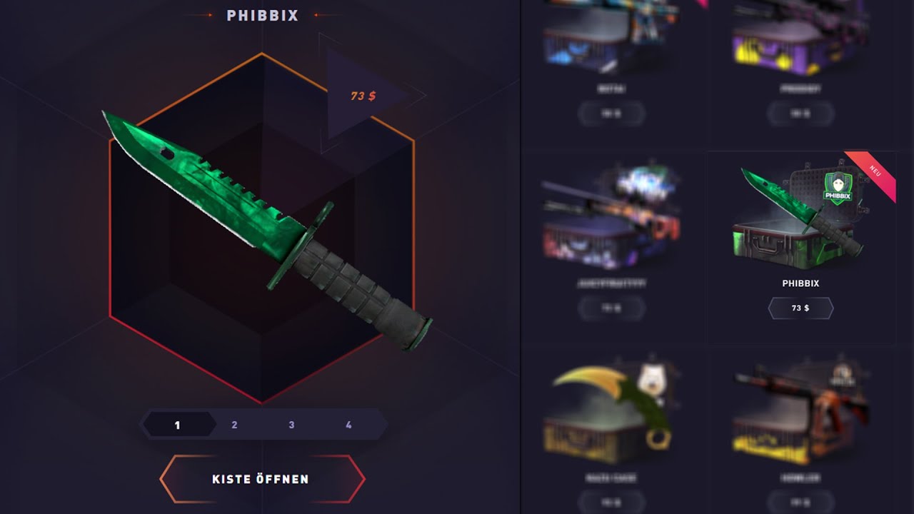 diese CASE... 💰 CSGO Gambling [18+]