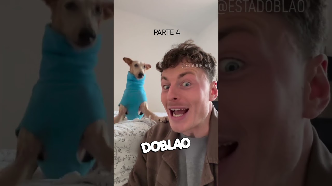 Mi Amiga me HABL&Oacute; | Parte 4 #Doblao #Estadoblao #animales #perros #animalesquehablan #ex #amiga