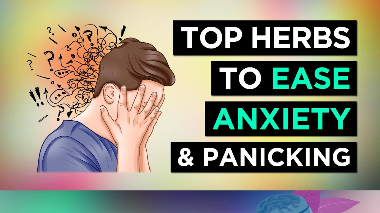 8 Herbs for ANXIETY Relief (and Panic Attacks)