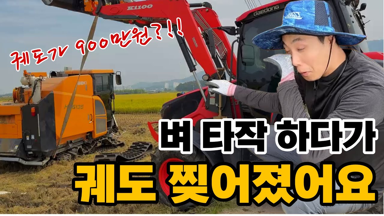 귀농부부의 벼추수 브이로그. 비오는데 콤바인 궤도 찢어졌어요ㅠㅠ