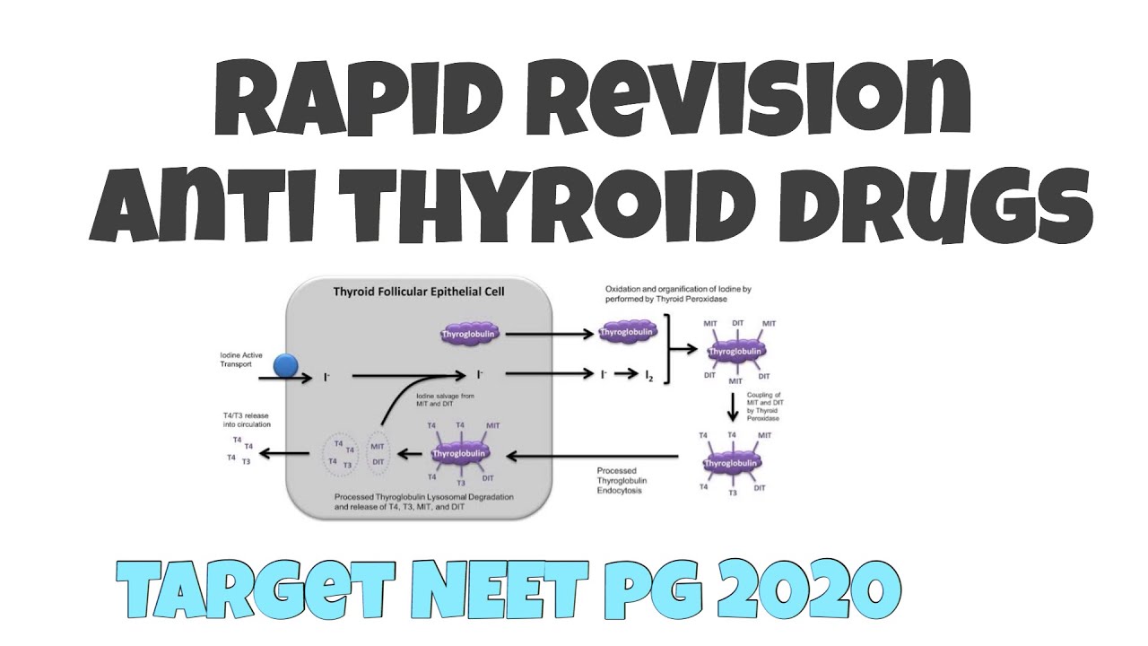Anti thyroid drugs | Rapid revision | NEET PG | AIIMS