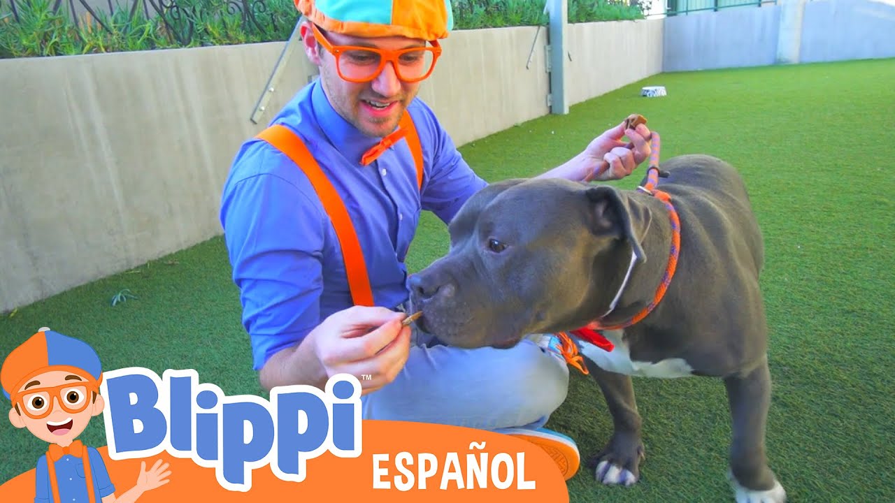 Blippi visita un Refugio de Animales | Blippi Espa&ntilde;ol | Videos Educativos