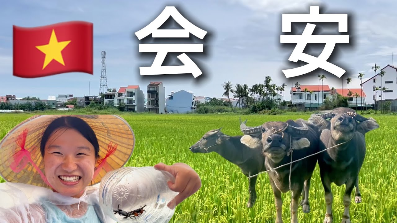 女生越南独旅｜会安：椰子船、稻田、古镇、海滩，一座安逸的小城