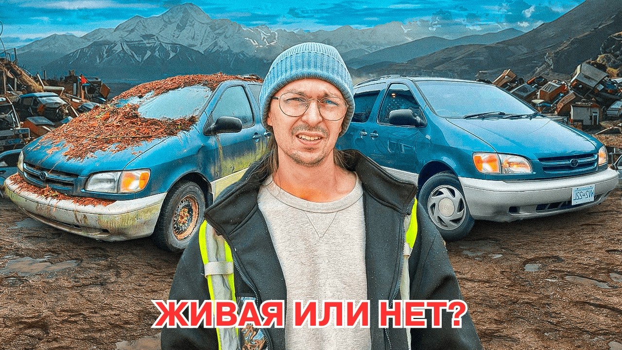 ЗАБРОШЕННАЯ СИЕННА — смогу ли дать ей вторую ЖИЗНЬ?