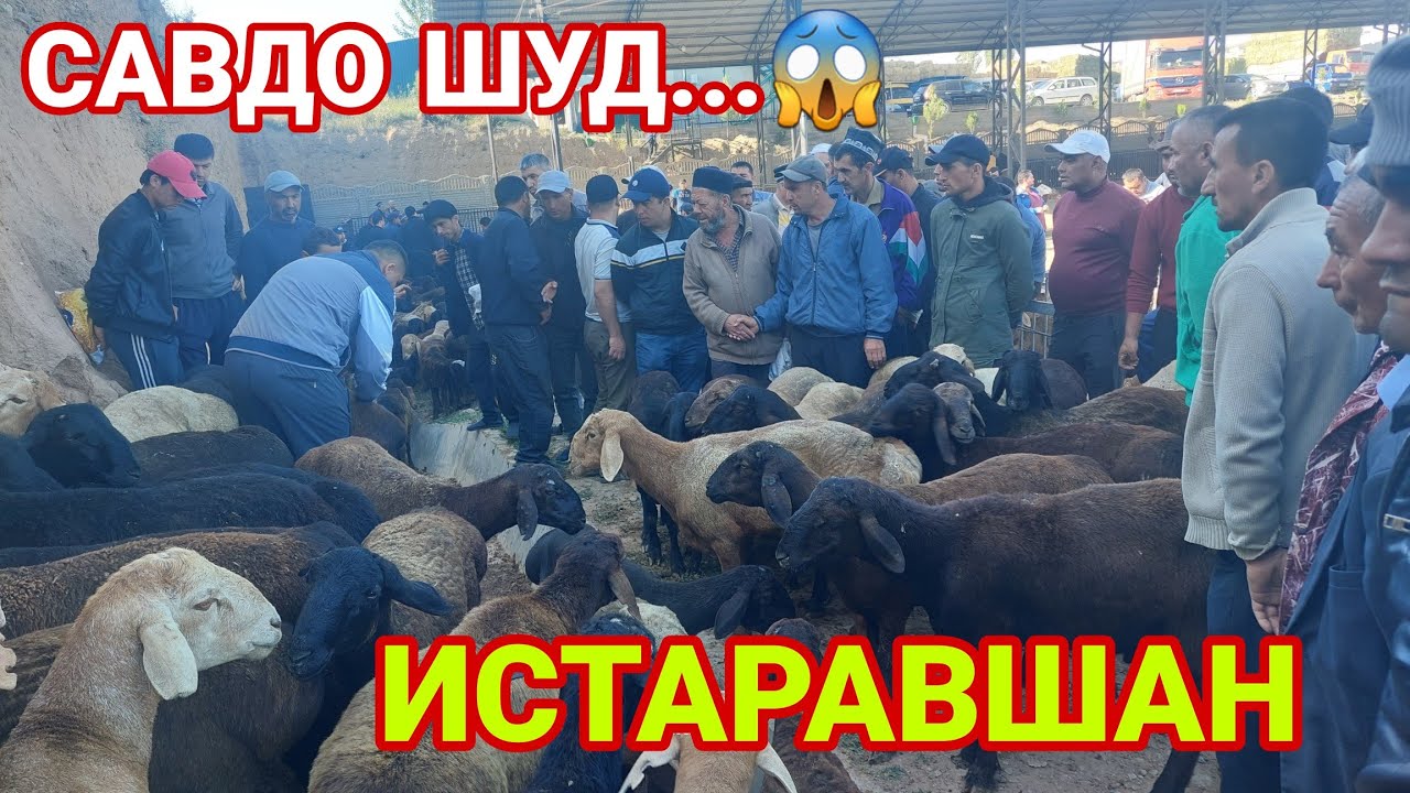 1 июня 2024 г. МОЛБОЗОРИ ИСТАРАВШАН !