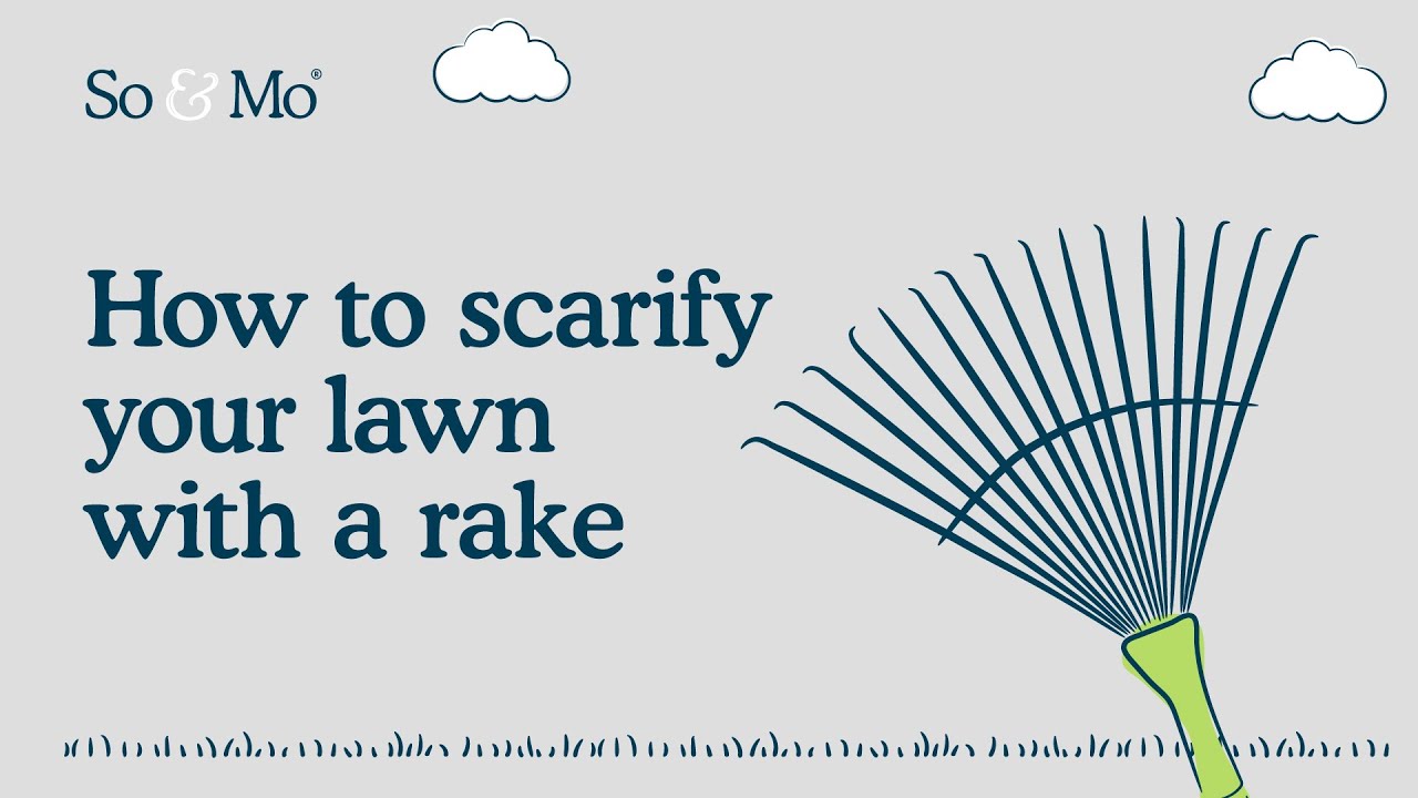 How to scarify your lawn with a wire rake | So & Mo