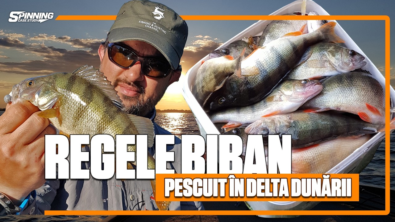 Regele biban - Pescuit in Delta Dunarii