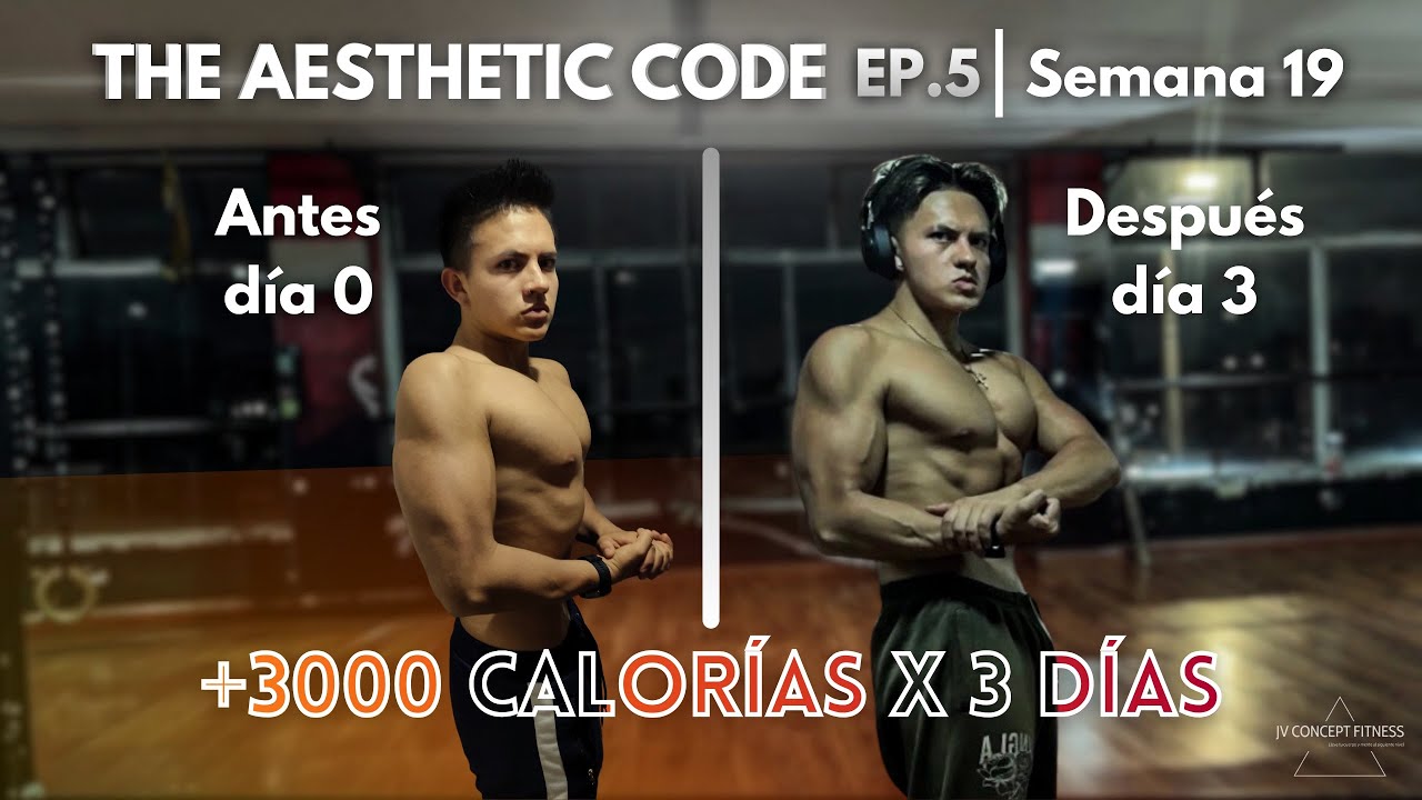 ¿Qué es un REFEED y Cómo Hacerlo? | The Aesthetic Code Ep. 5