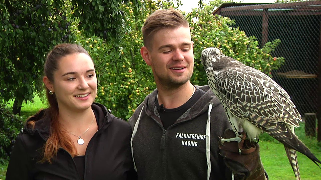 Vogelwildes Hobby – Tobias Daser und Kathrin Eichner haben eine Falknerei in Haging