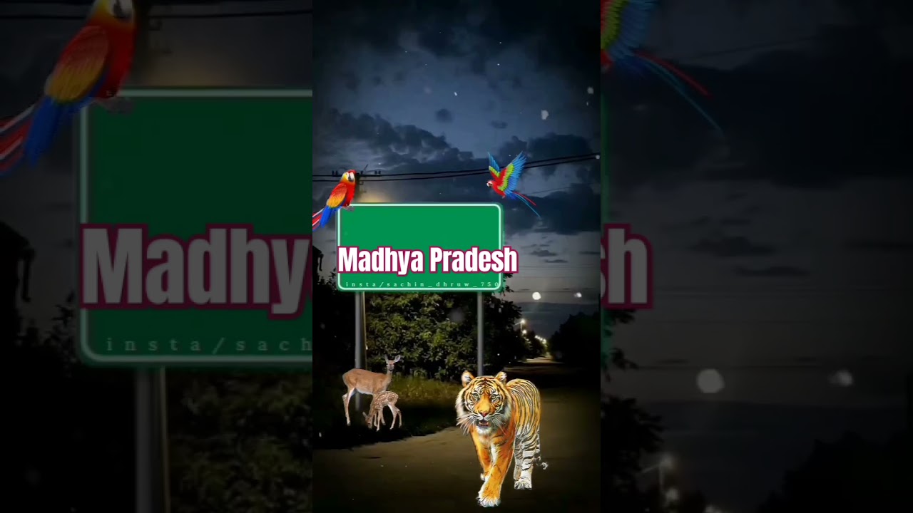 @madhya Pradesh ke boy ko kabhi understate mat karna 😈💛