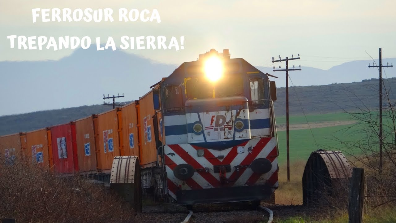 Tren 494 con G26 