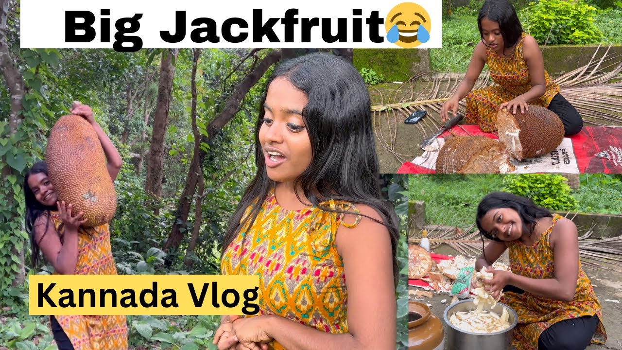 Big Jackfruit Cutting😂Rakshita Kannada Talks#rakshita #mangalore #kannada #kannadavlogs #jackfruit